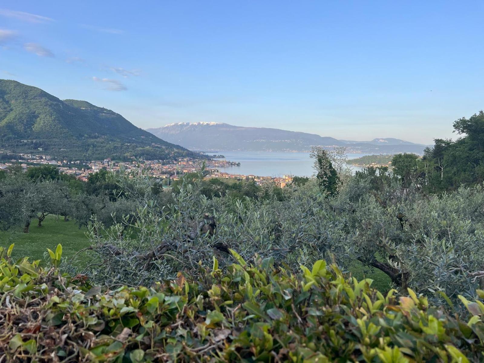 La Finestra Sul Garda Dreaming Holidays サン・フェリーチェ・デル・ベナーコ エクステリア 写真