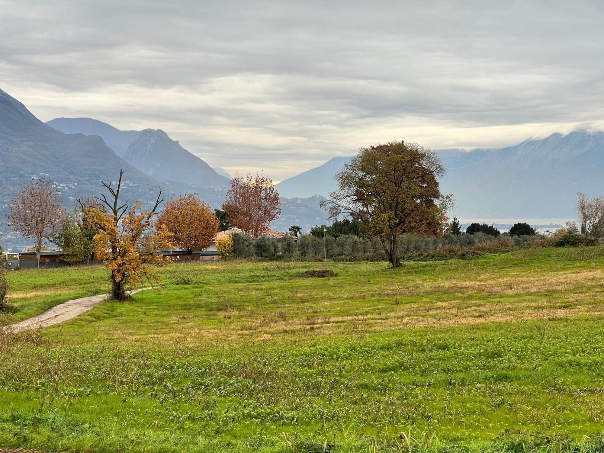 La Finestra Sul Garda Dreaming Holidays サン・フェリーチェ・デル・ベナーコ エクステリア 写真