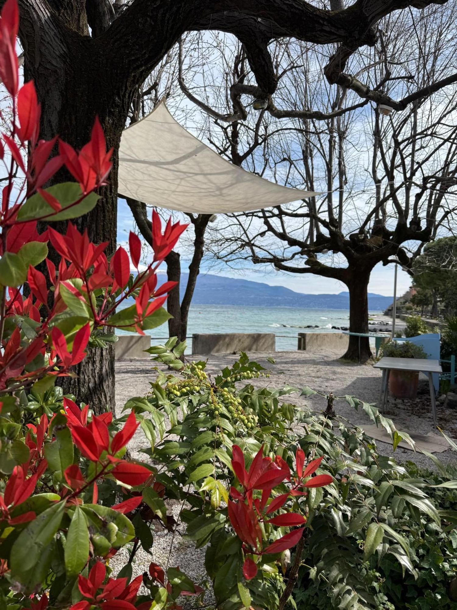 La Finestra Sul Garda Dreaming Holidays サン・フェリーチェ・デル・ベナーコ エクステリア 写真